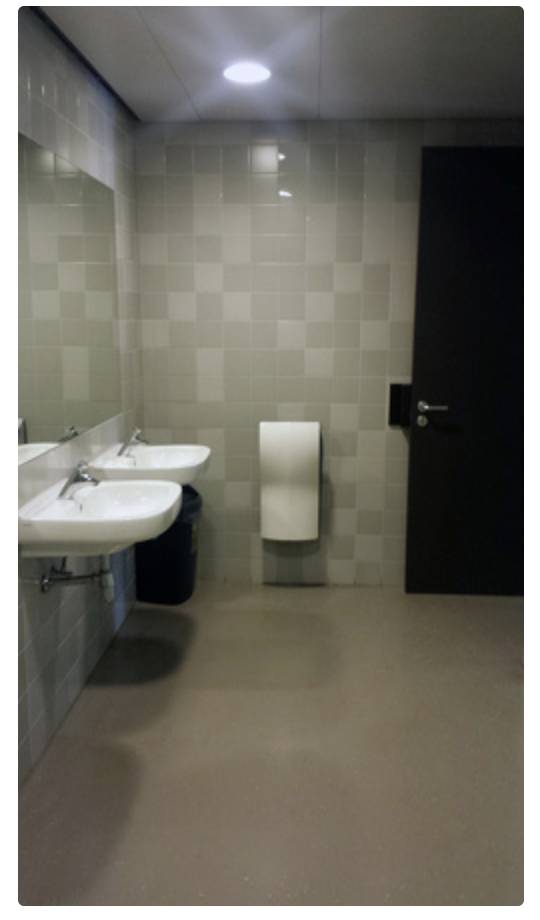 Twinflow White hand dryer